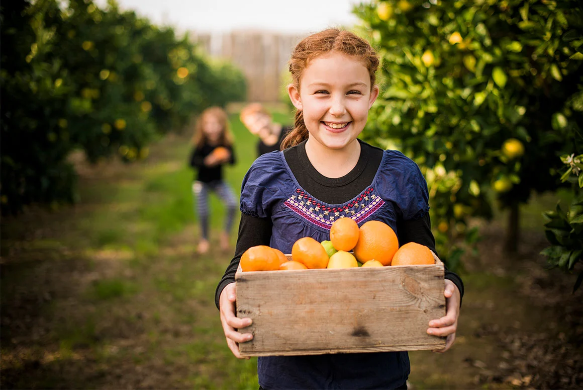 Gisborne is New Zealand's premium citrus capital