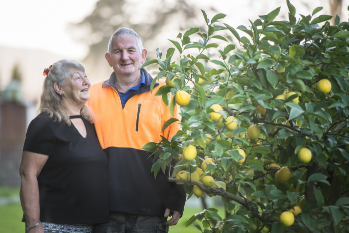 fruit growers next to tree