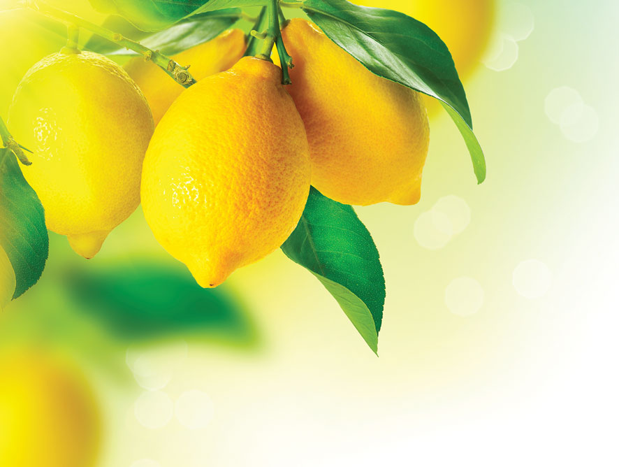 Juicy Facts About Lemons