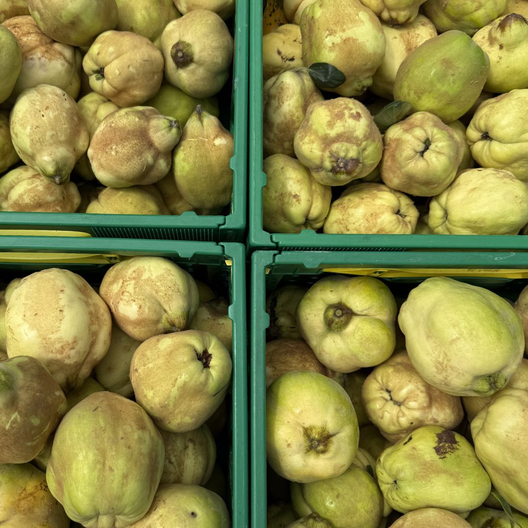 Buy Quince  Online NZ