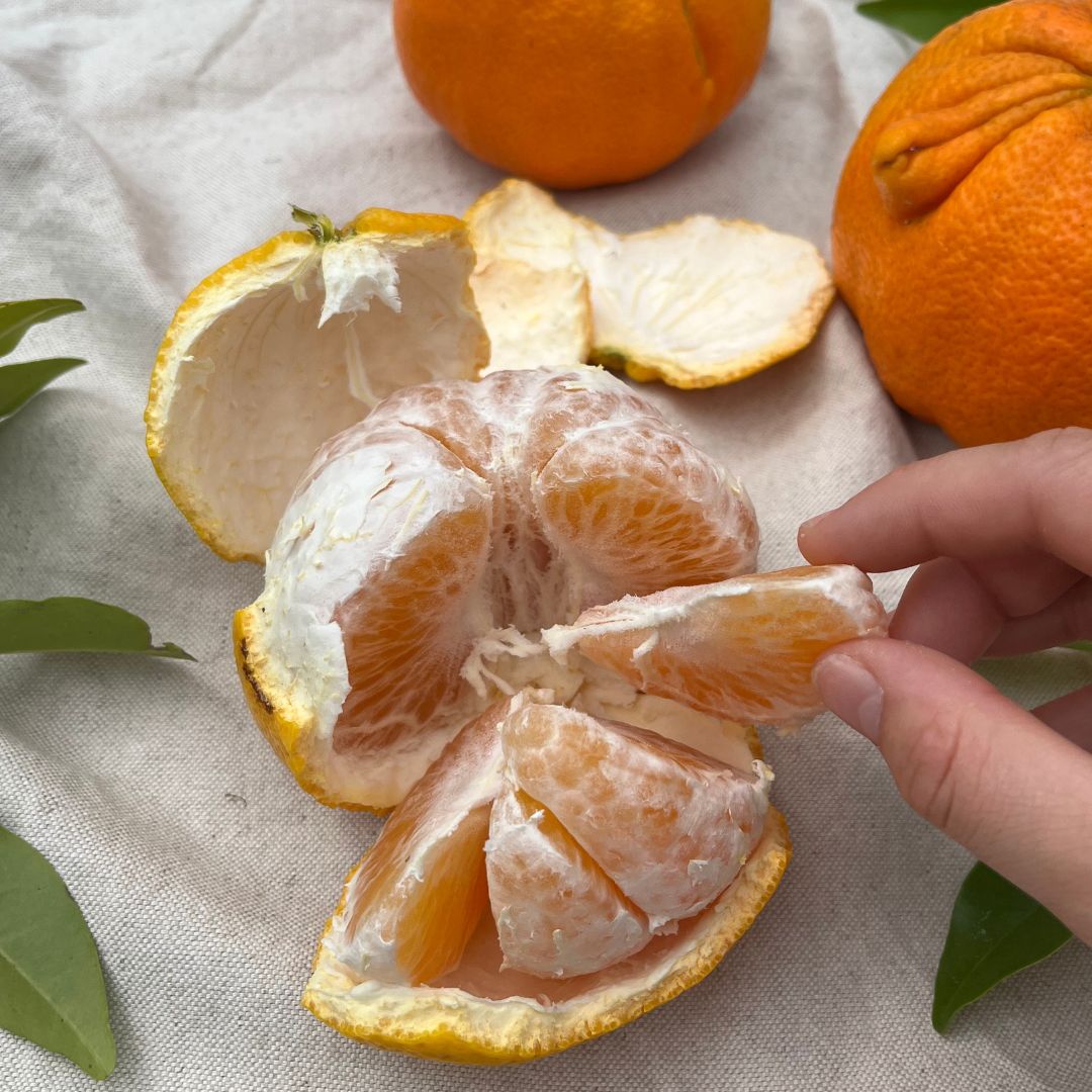Buy Ugli Fruit Online NZ