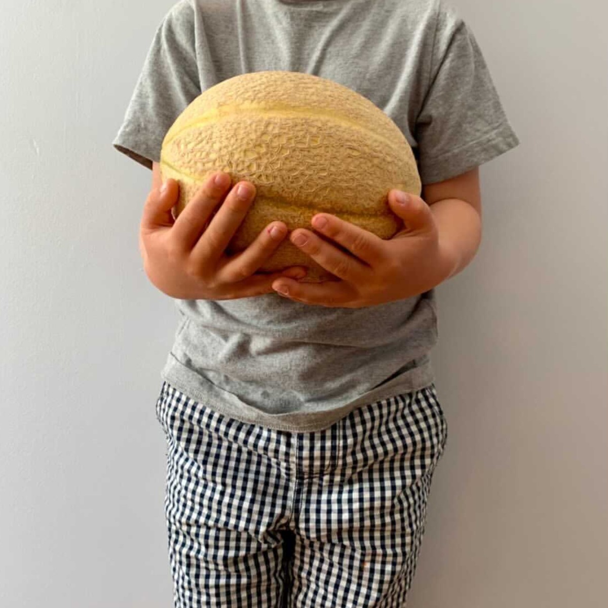 Buy Rockmelon Online NZ