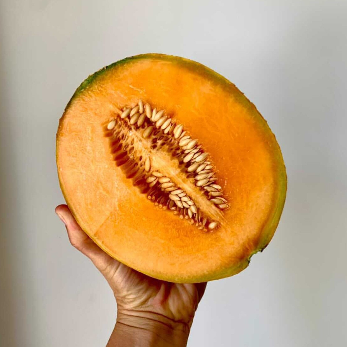 Buy Rockmelon Online NZ