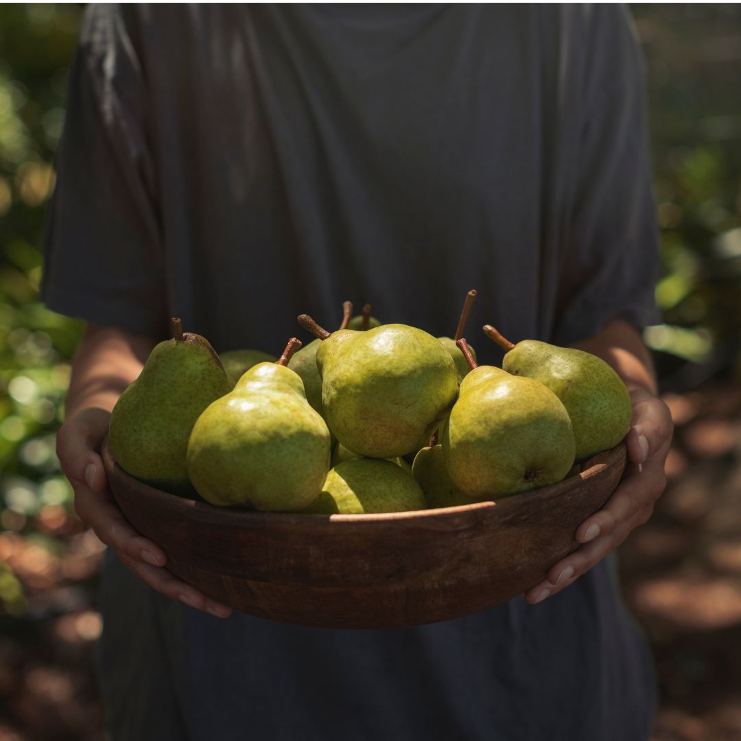 Buy Pears - Packham Online NZ