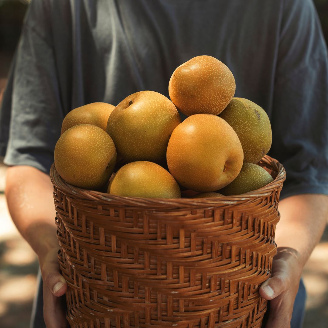 Buy Nashi  Online NZ