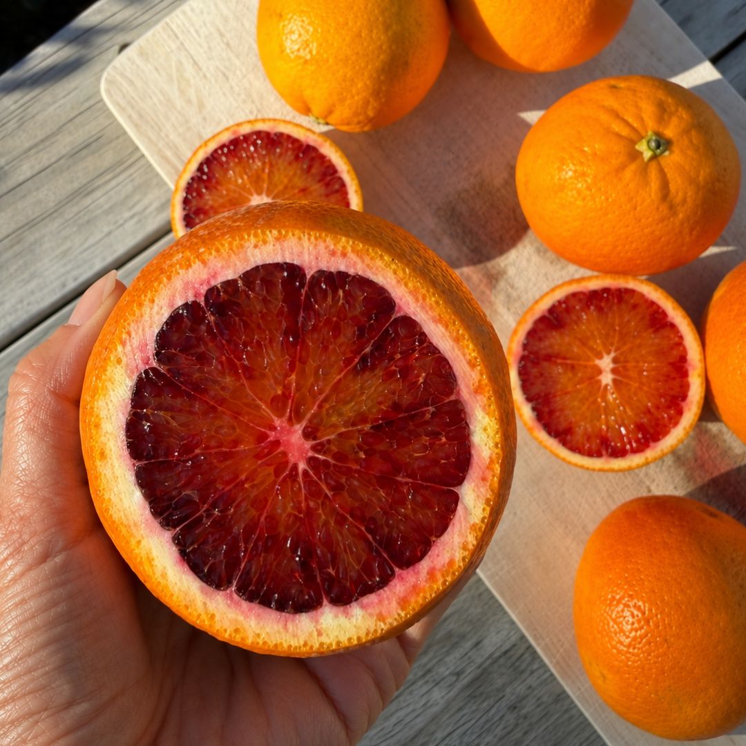 Buy Blood Oranges Online NZ