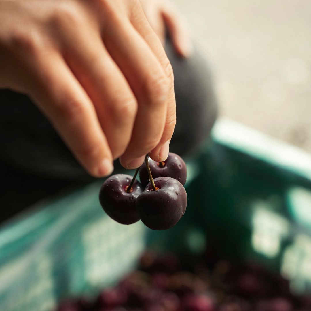 Buy Cherries  Online NZ