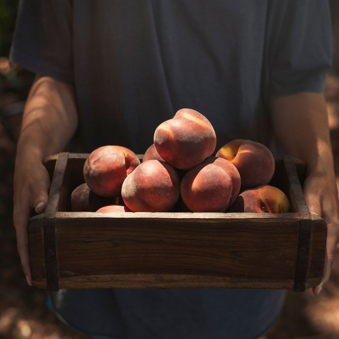 Buy Peaches - Hunny Online NZ