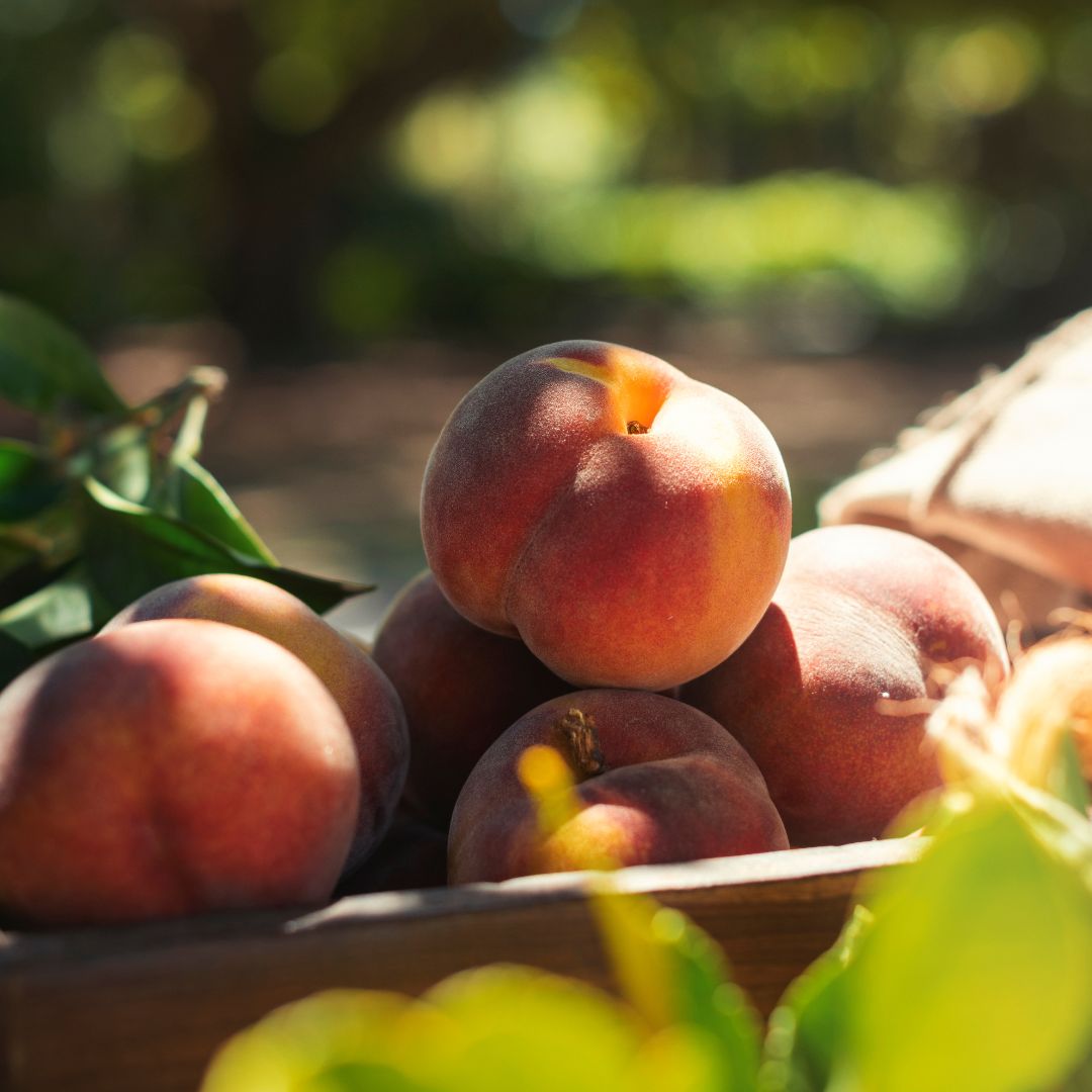 Buy Peaches - Hunny Online NZ