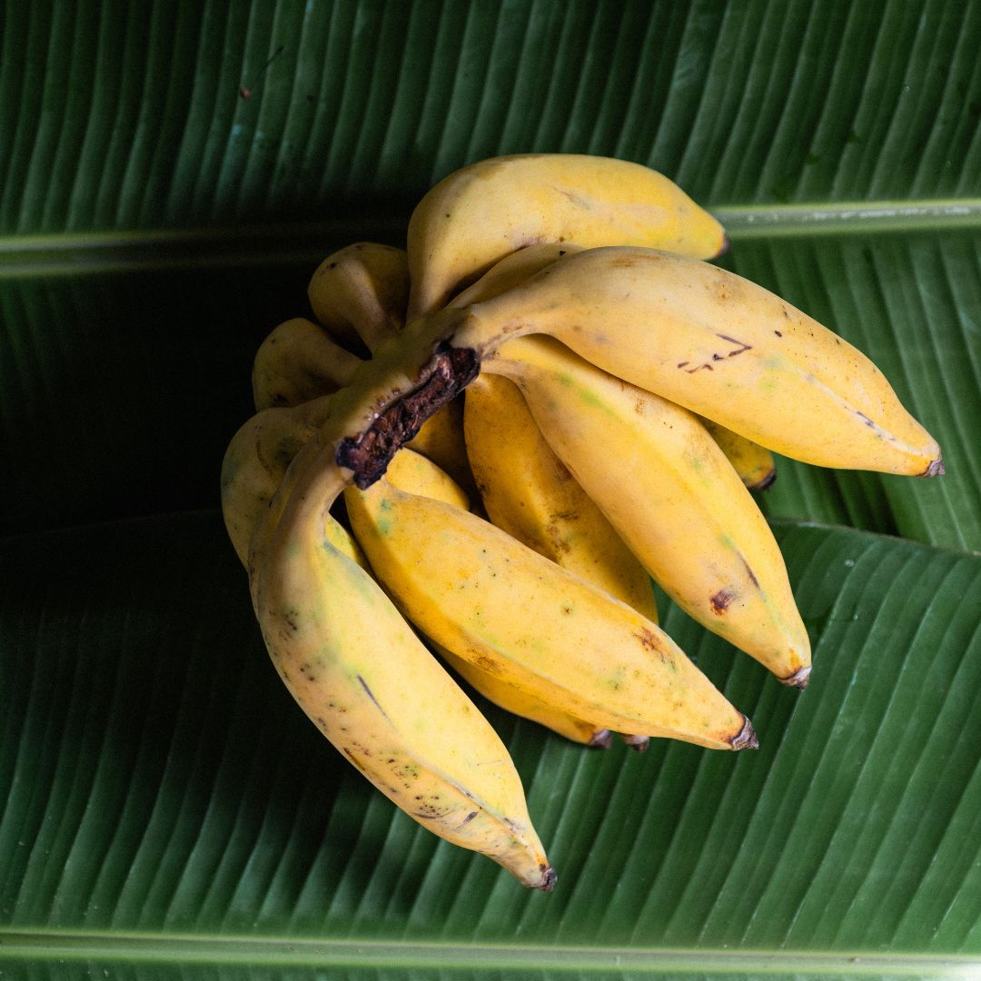 Buy Banana - Misi Luki Online NZ