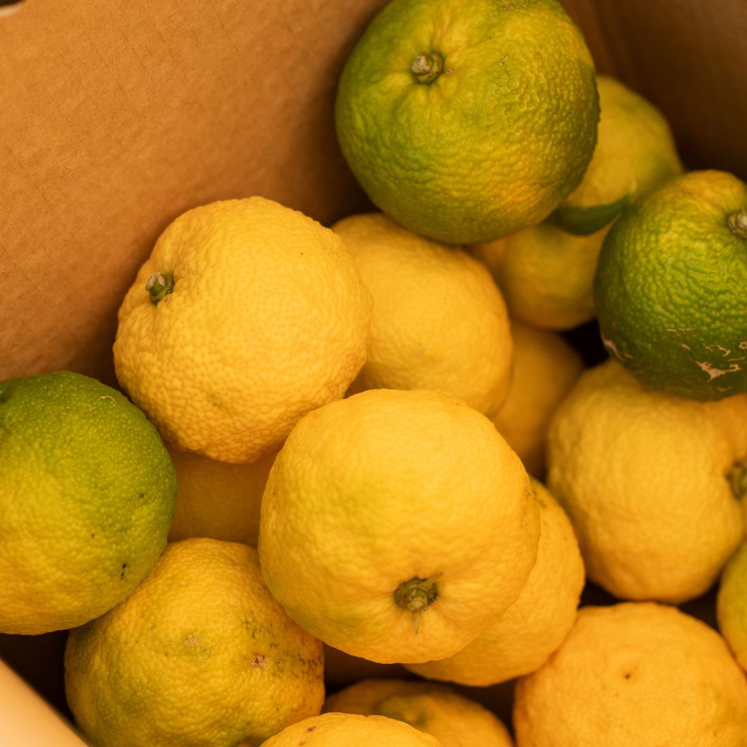 Buy Yuzu Online NZ