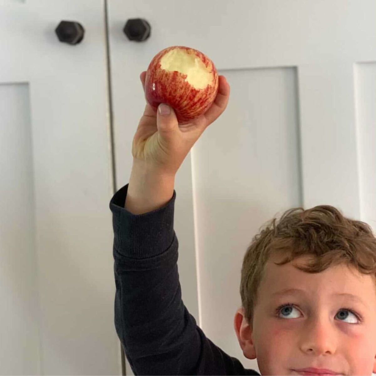 Buy Apples - Smitten Online NZ
