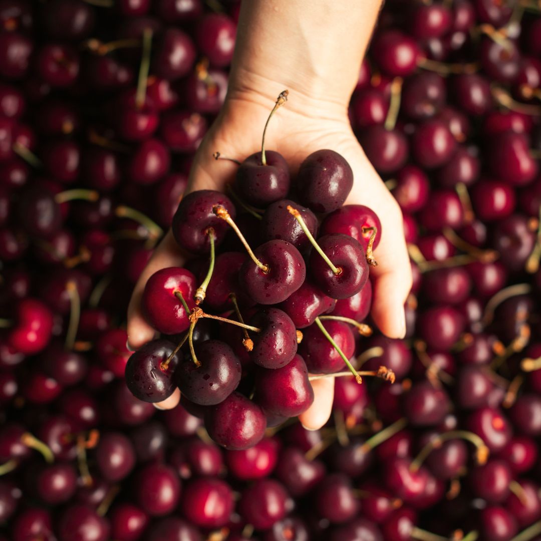 Buy Christmas Cherry Gift Box Online NZ