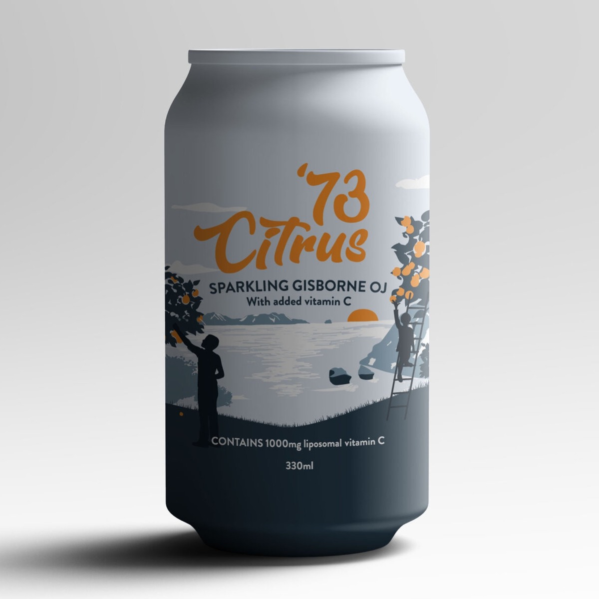 Buy Sparkling Gisborne Orange Juice Online NZ