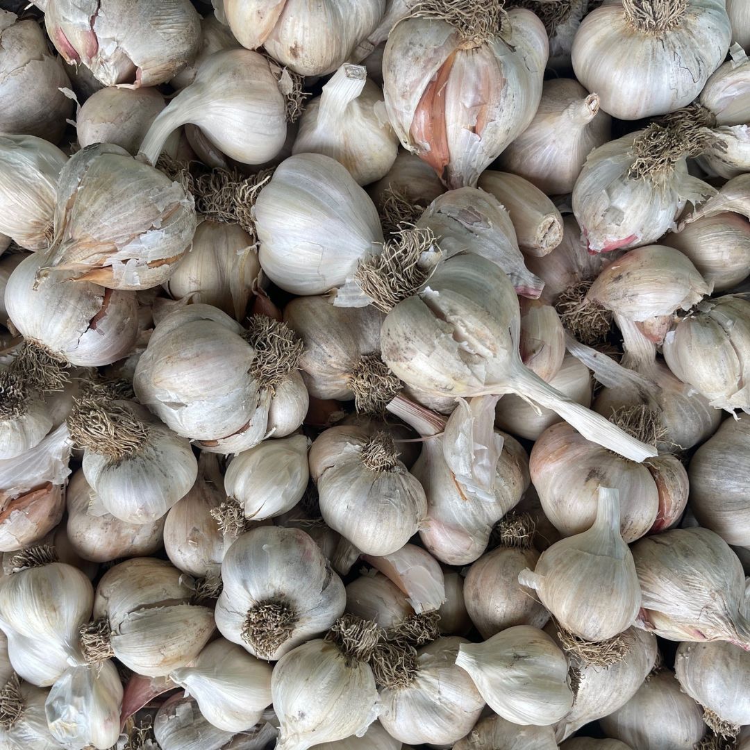 Buy True Garlic Online NZ - Twisted Citrus