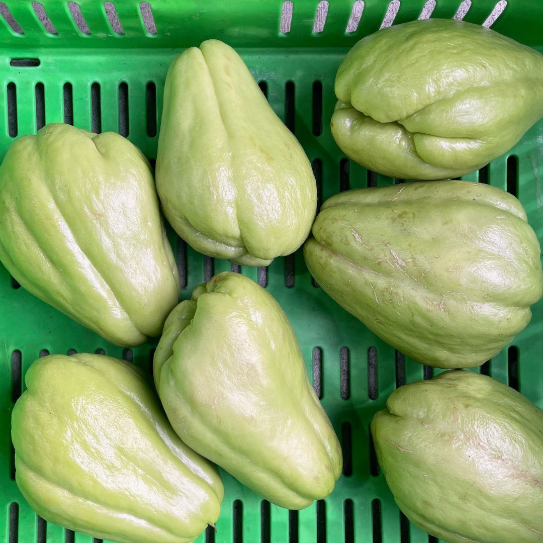 Buy Choko Online NZ - Twisted Citrus
