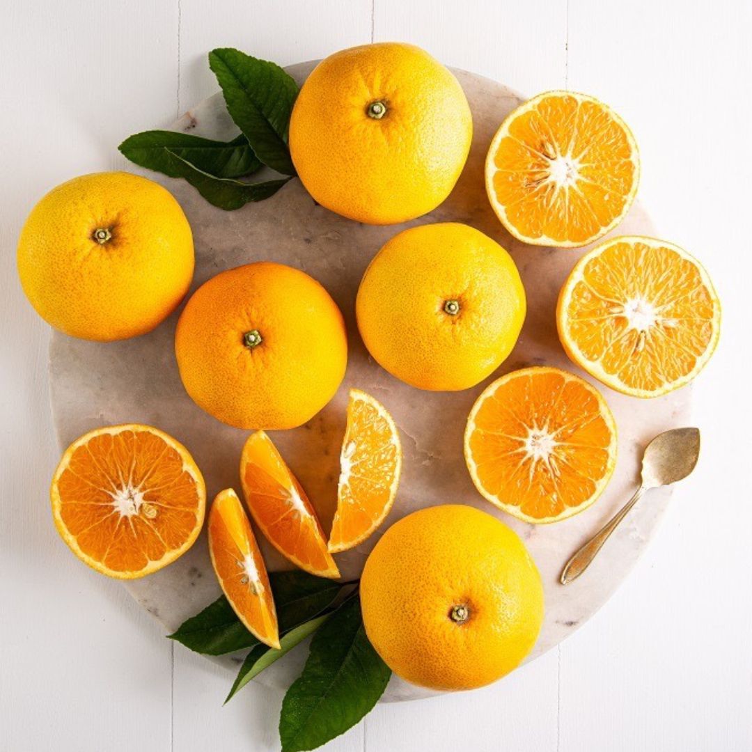Buy Mixed Citrus Box Online NZ