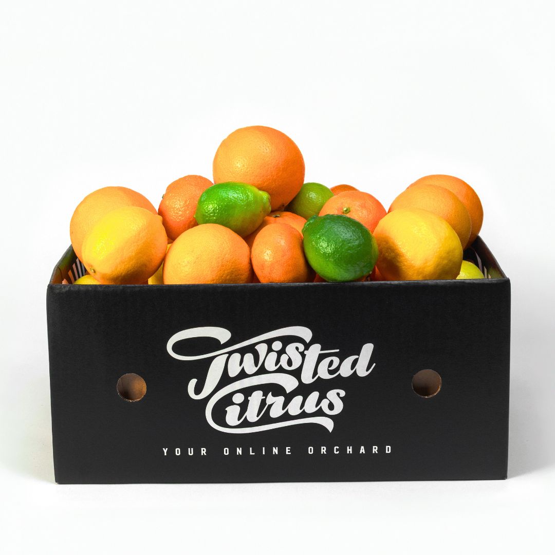 Buy Mixed Citrus Box Online NZ - Twisted Citrus