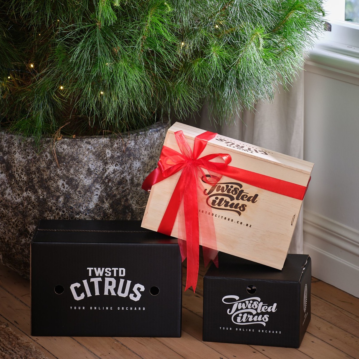 Buy The Joy Christmas Online NZ