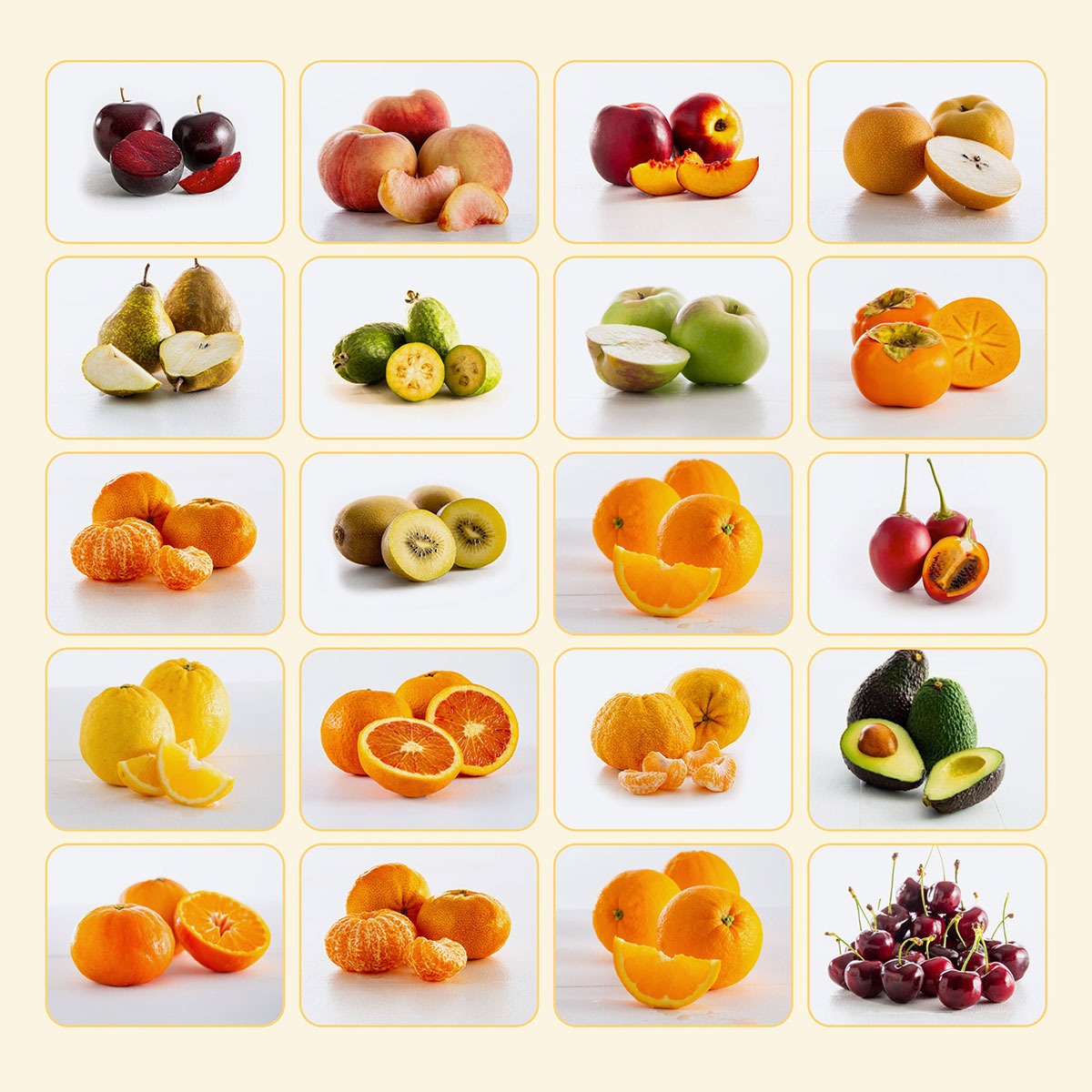 Buy Twisted Favourites - Fruit Club Online NZ - Twisted Citrus