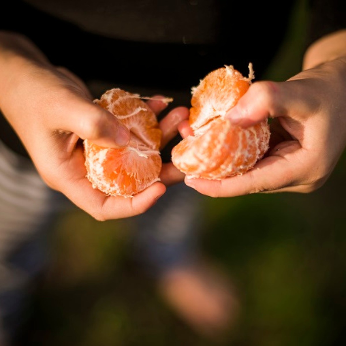 Buy Mandarins - Satsuma Online NZ