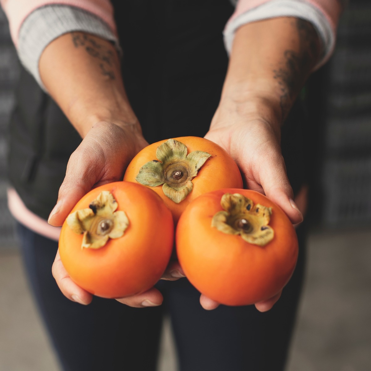 Buy Persimmon Online NZ