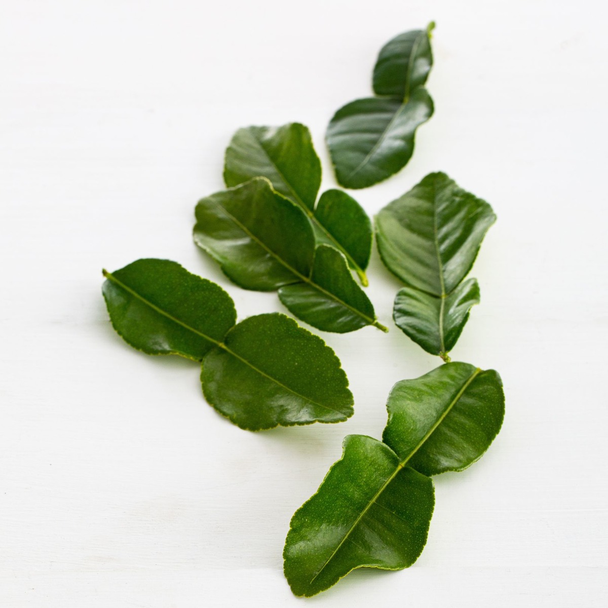 Buy Makrut Lime Leaves Online NZ