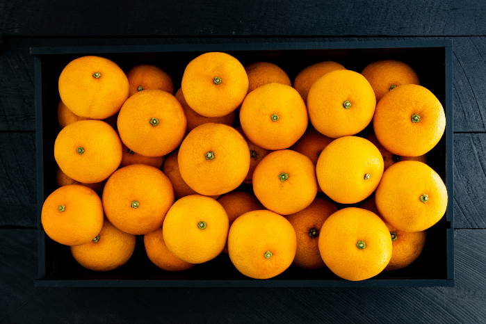 Buy Orange Juicer Online NZ