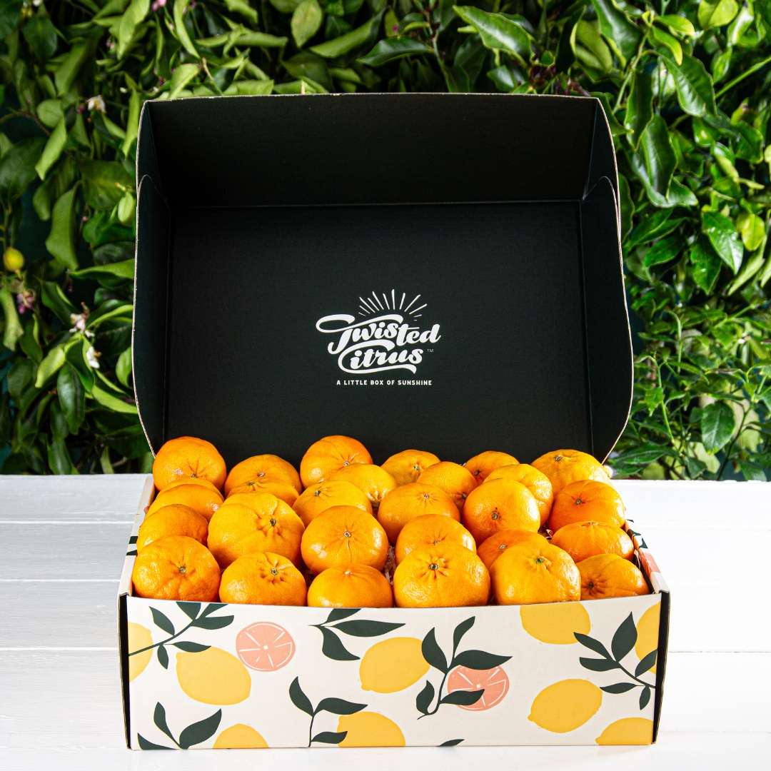 Buy Mandarin Gift Box Online NZ - Twisted Citrus
