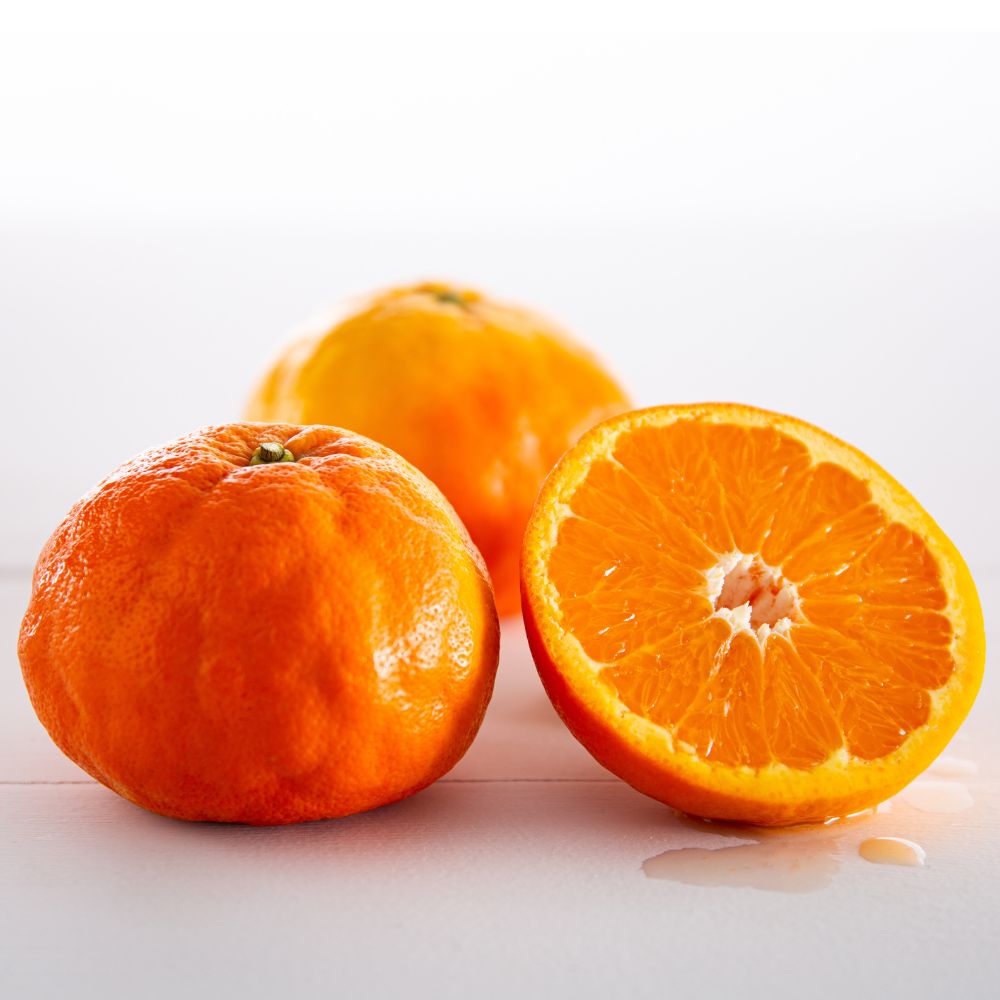 Buy Tangelos Online NZ - Twisted Citrus