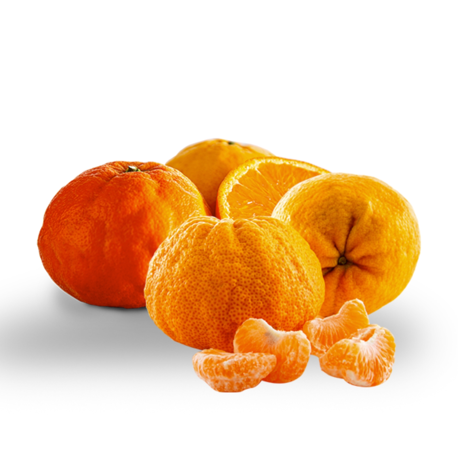 Buy Ugli Fruit Tangelo Online NZ