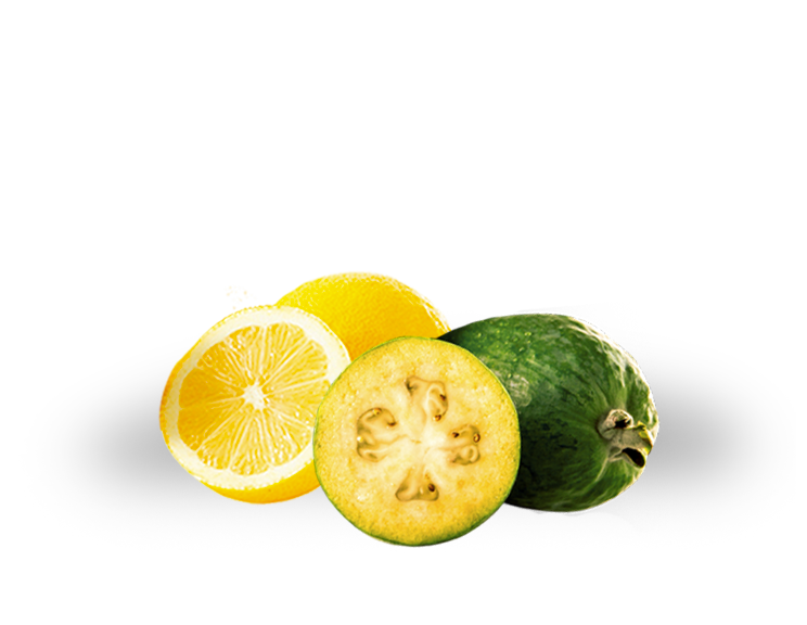 Buy Feijoa Lemon Online NZ