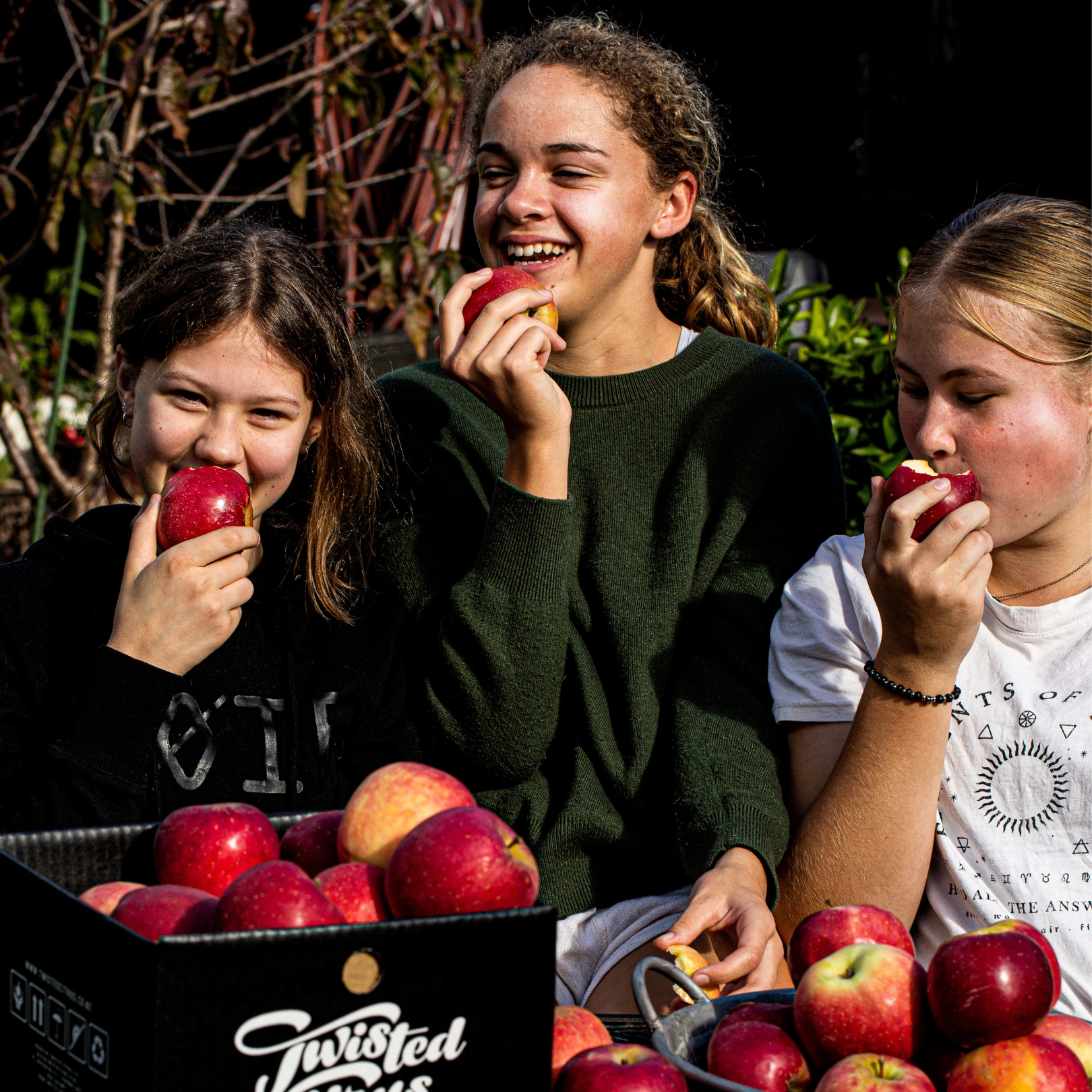Buy Apples - Sansa Online NZ
