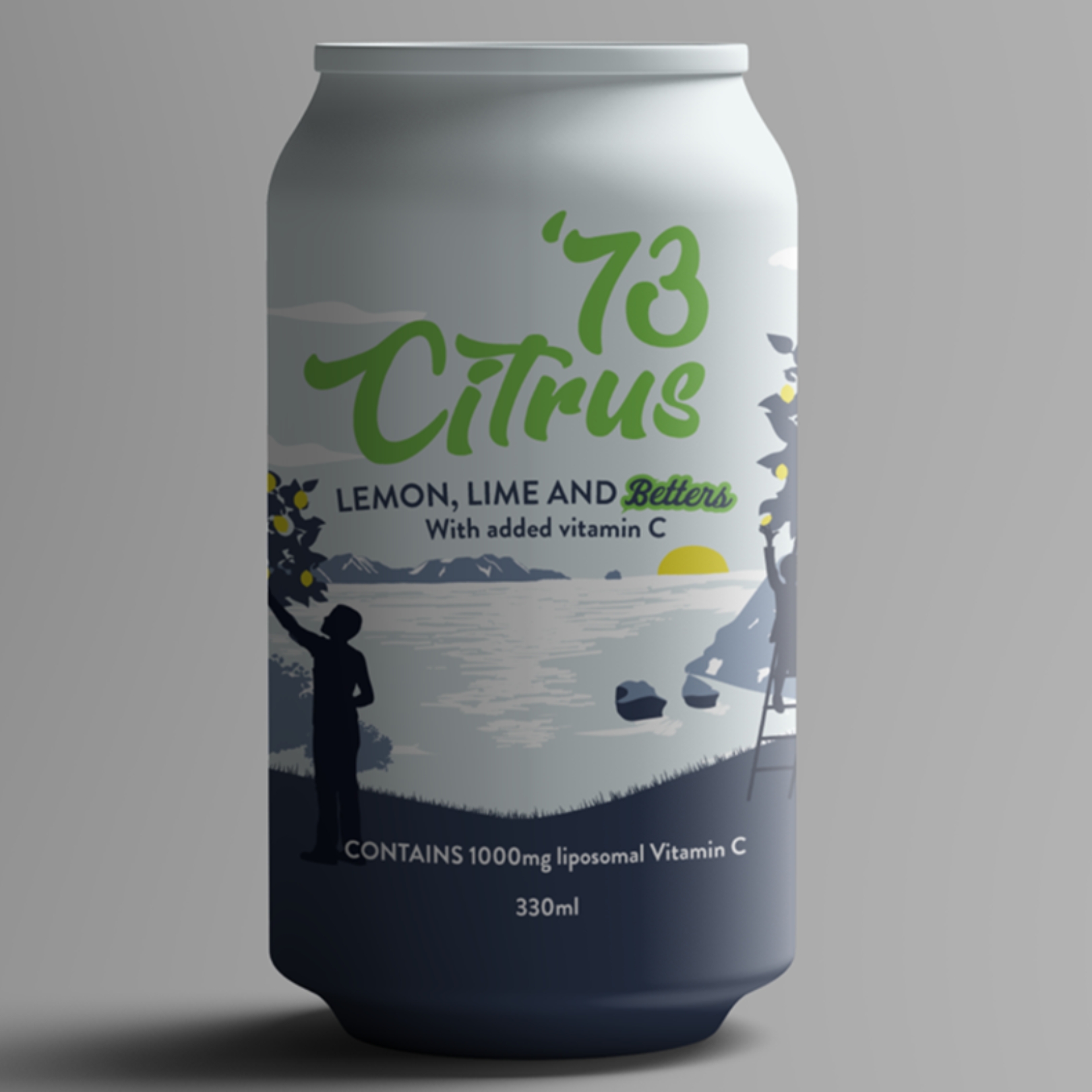 Buy 12 Pack - Sparkling Lemon & Lime Drink Online NZ