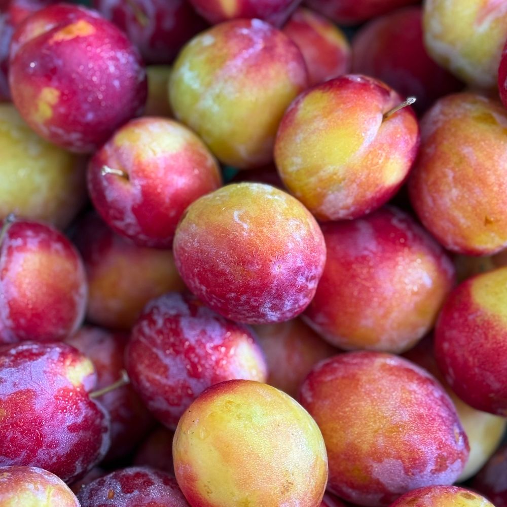 Buy Plums - Luisa Online NZ