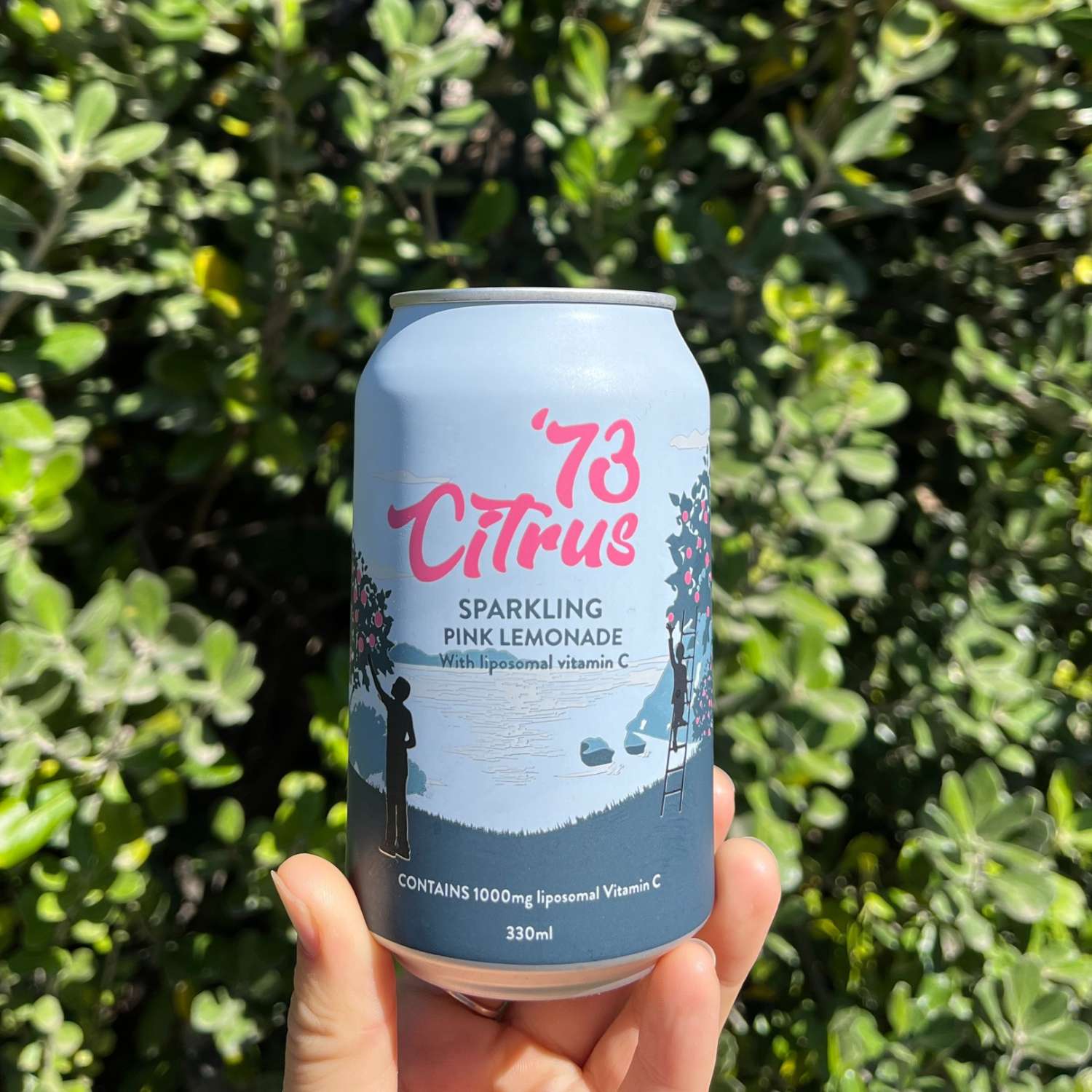 Buy Sparkling Pink Lemonade Drink Online NZ