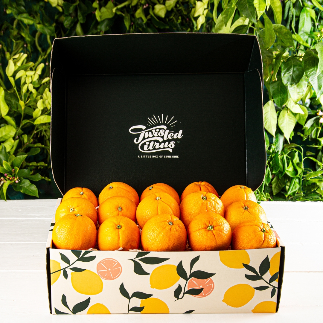 Buy Navel Orange Gift Box Online NZ - Twisted Citrus