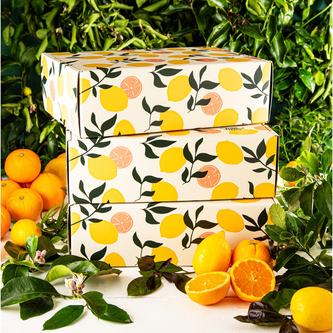 Buy Navel Orange Gift Box Online NZ