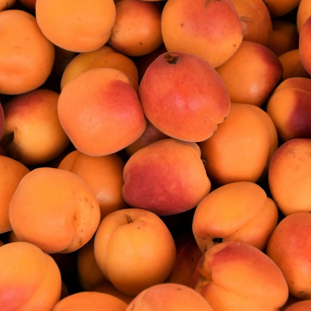 Buy Apricots Online NZ