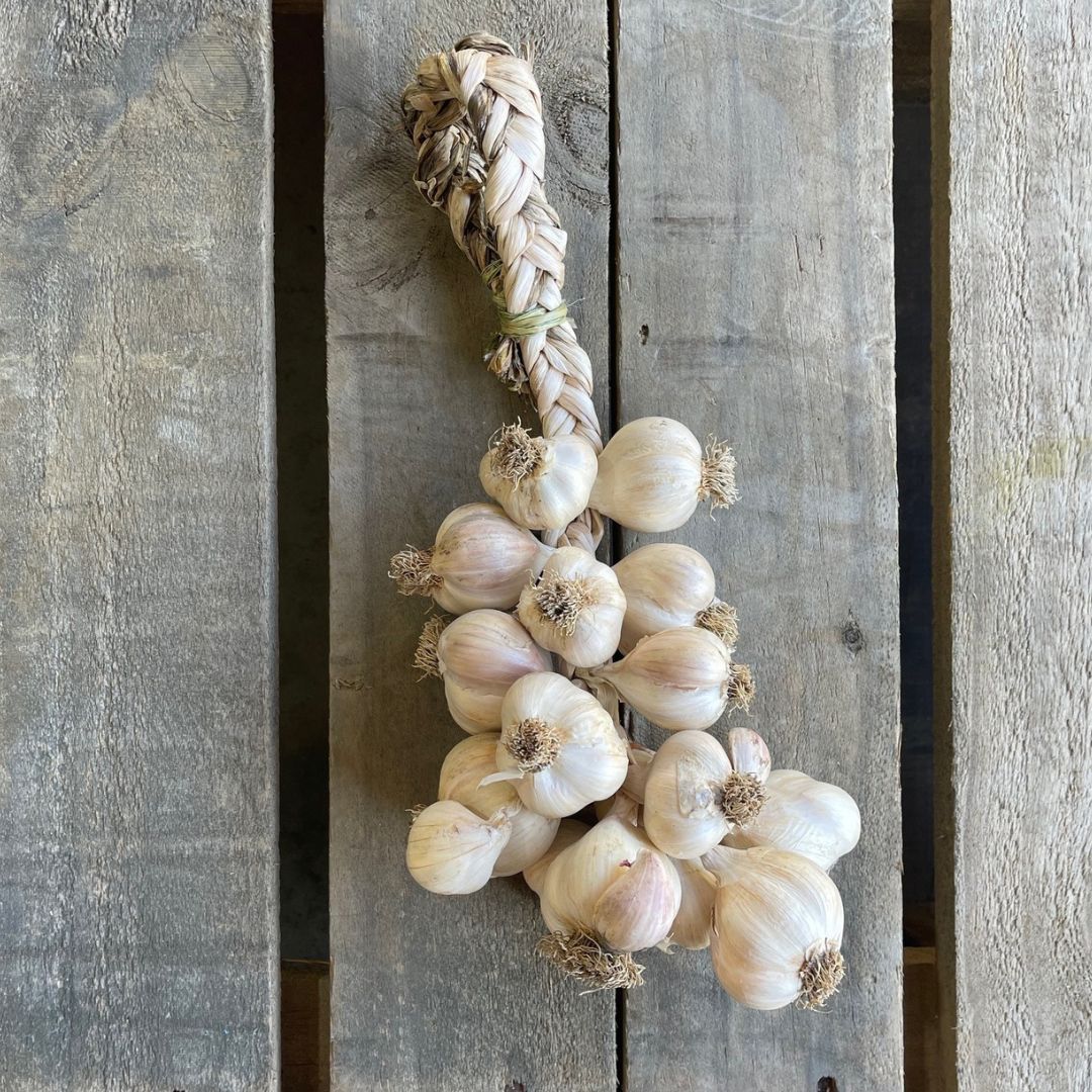 Buy True Garlic - Plait Online NZ