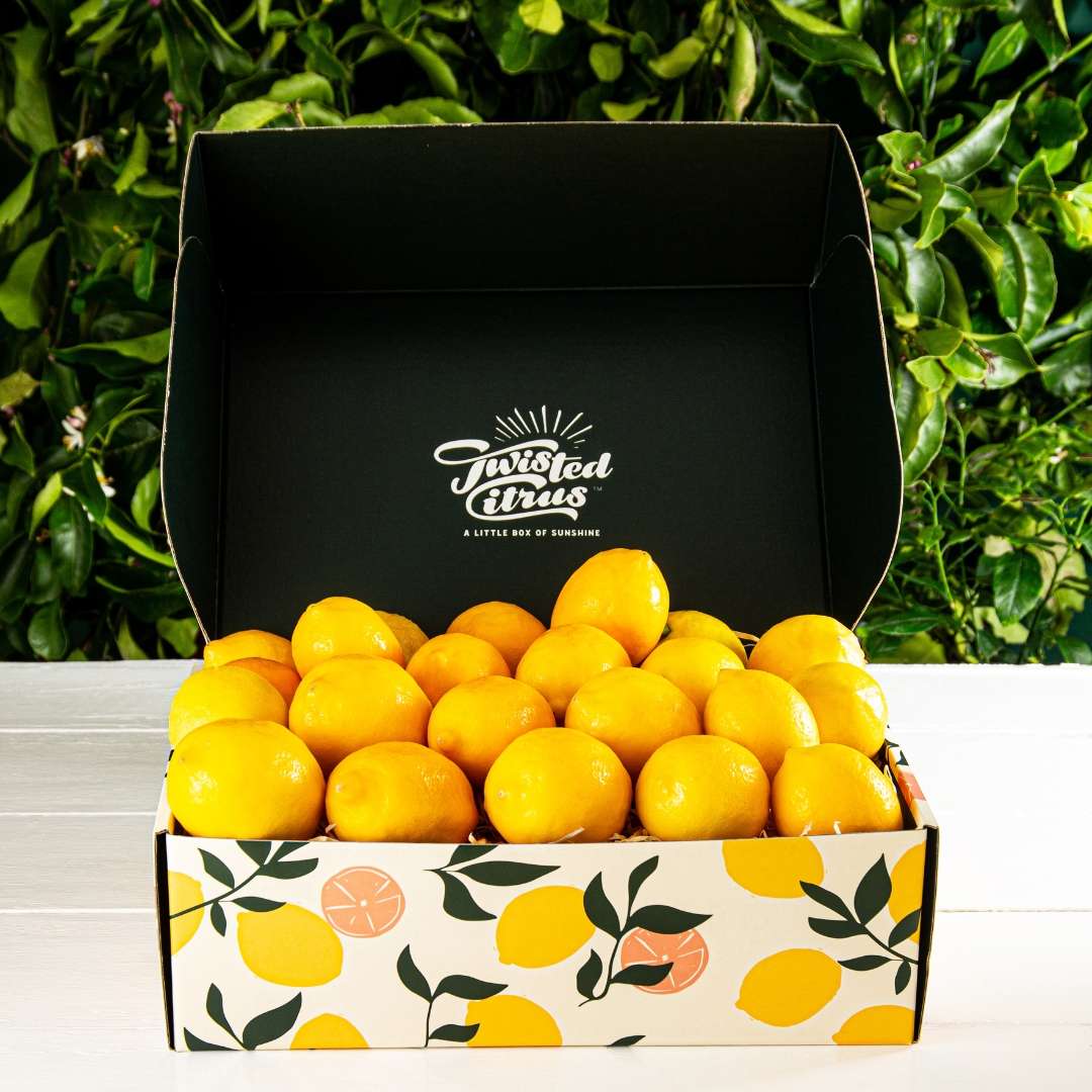 Buy Meyer Lemon Gift Box Online NZ