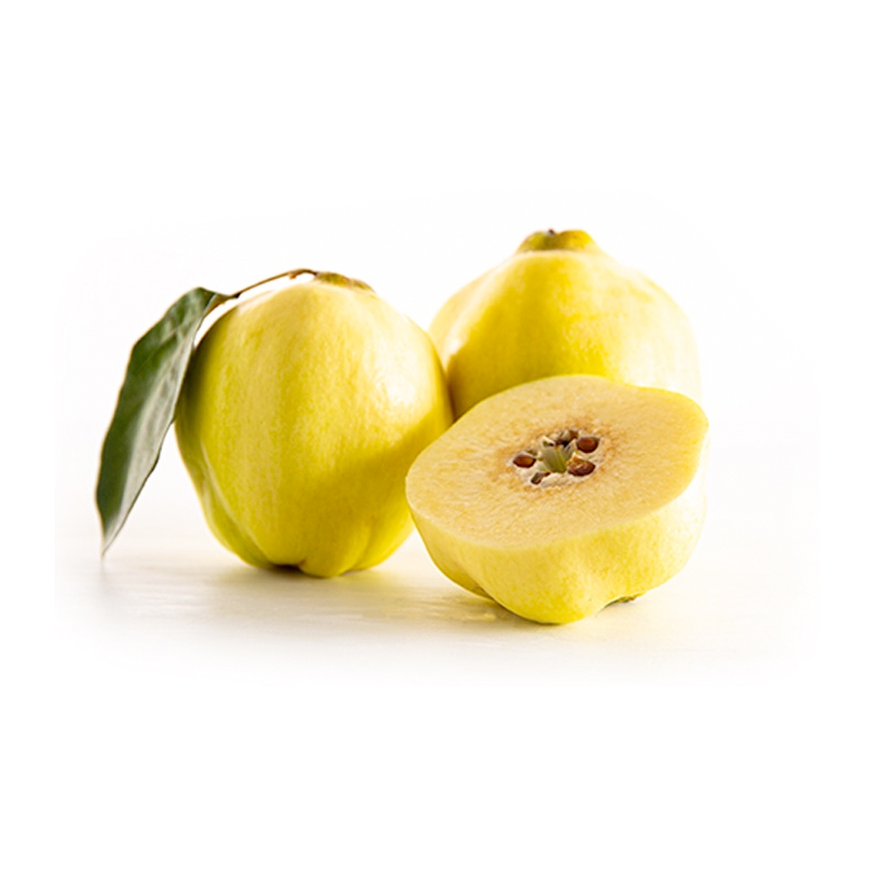 Buy Quince  Online NZ - Twisted Citrus