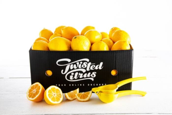 Buy Lemon Juicer Online NZ