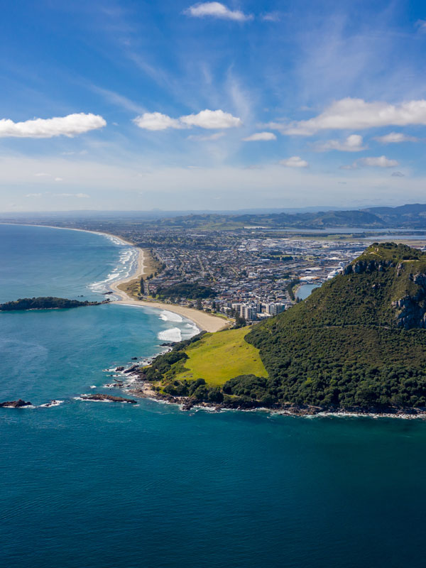 Fruit Box Delivery Tauranga Mt Maunganui Buy Fresh Fruit Online