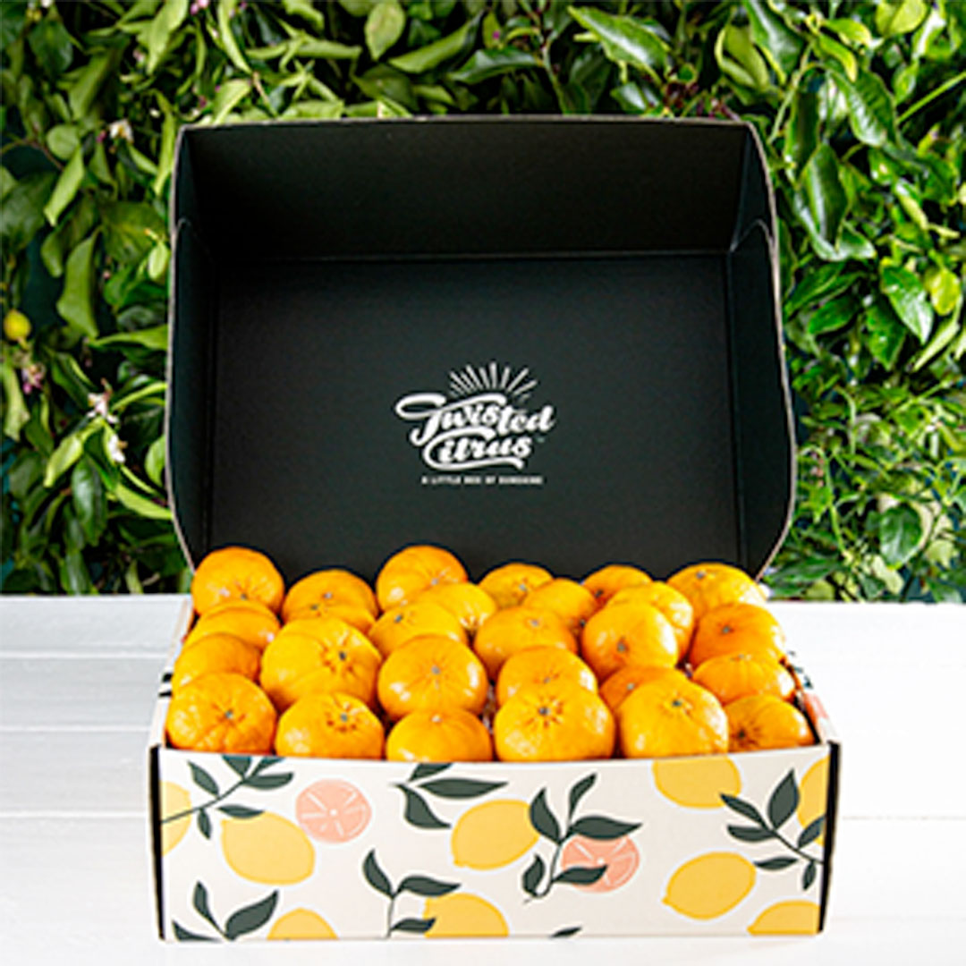 Mandarin Gift Box