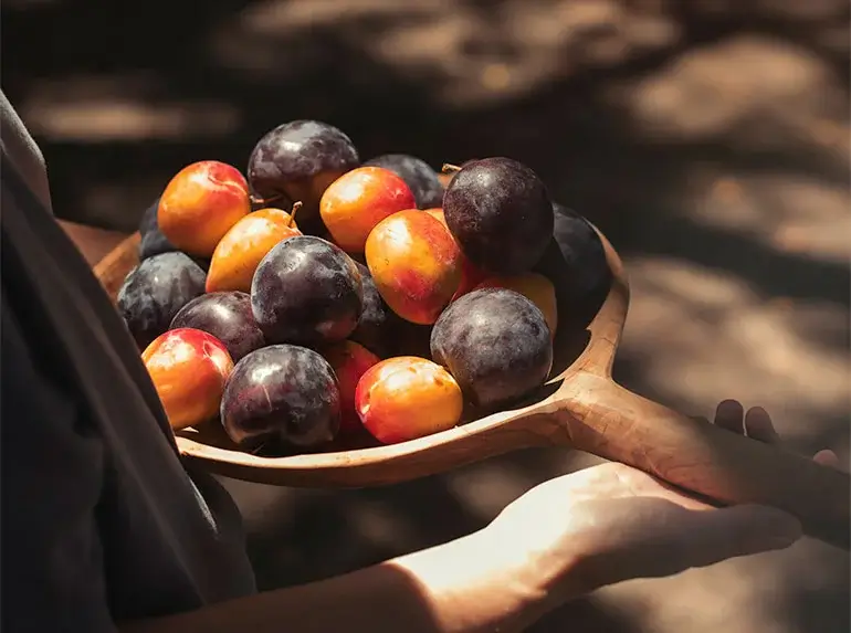 Assorted plums in a wooden dish