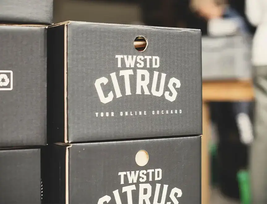 Twisted Citrus boxes stacked on top of each other