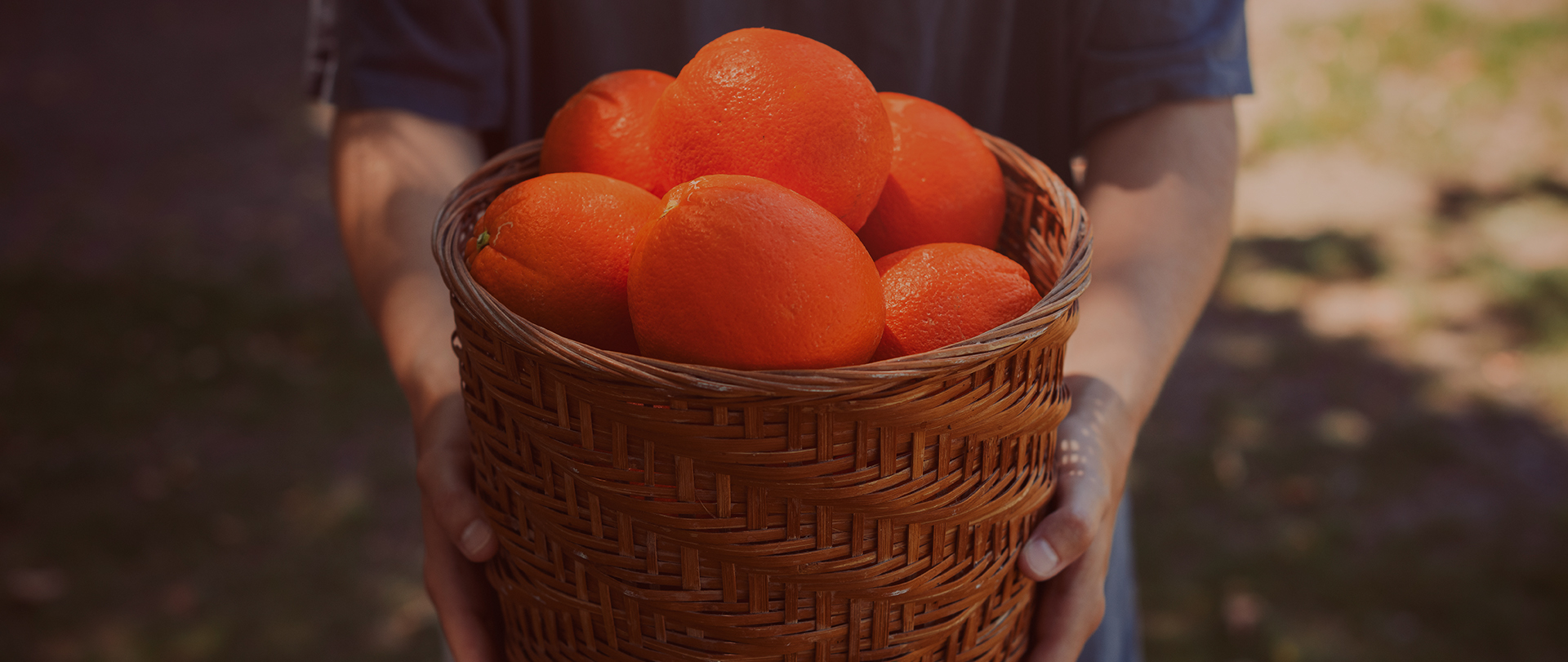 Orchard fresh fruit