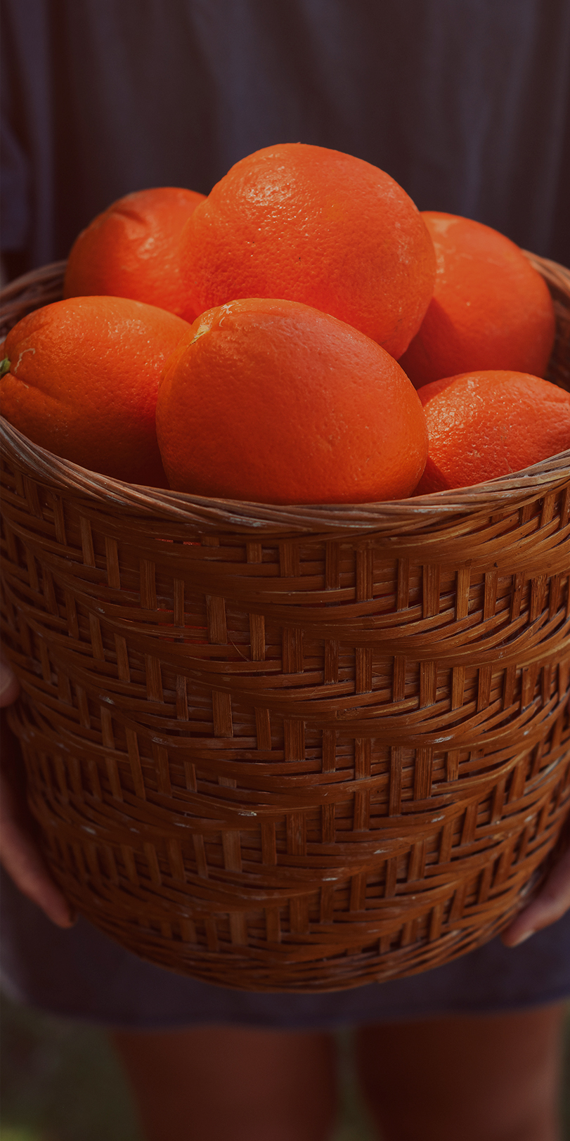 Orchard fresh fruit
