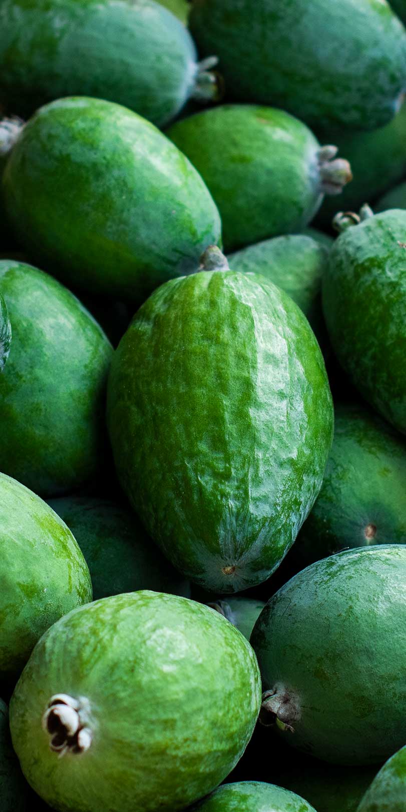 March Banner - Feijoas